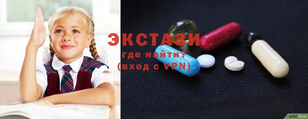 шишки Слюдянка