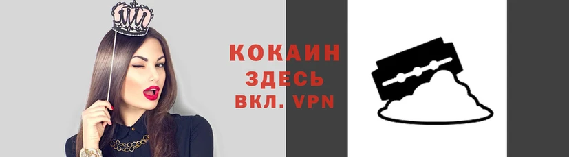 шишки Слюдянка